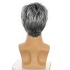 Short straight hair wigs, cross-border wigs, stylish straight hair covers for European and American men, gradient gray short hair wholesale on Amazon Application Scenario